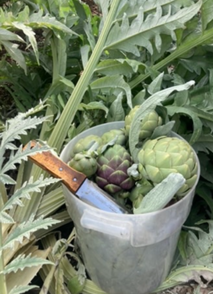 Roasted Artichoke Pesto - Foodaism